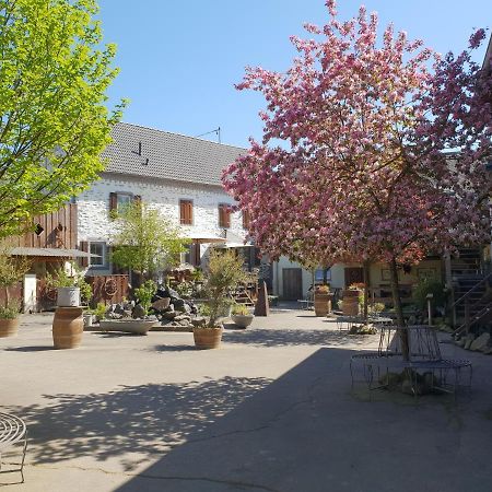 Besondere Ferienwohnung Spirit Auf Idyllischem Reiterhof Nahe Burg Eltz Munstermaifeld Luaran gambar