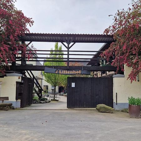 Besondere Ferienwohnung Spirit Auf Idyllischem Reiterhof Nahe Burg Eltz Munstermaifeld Luaran gambar
