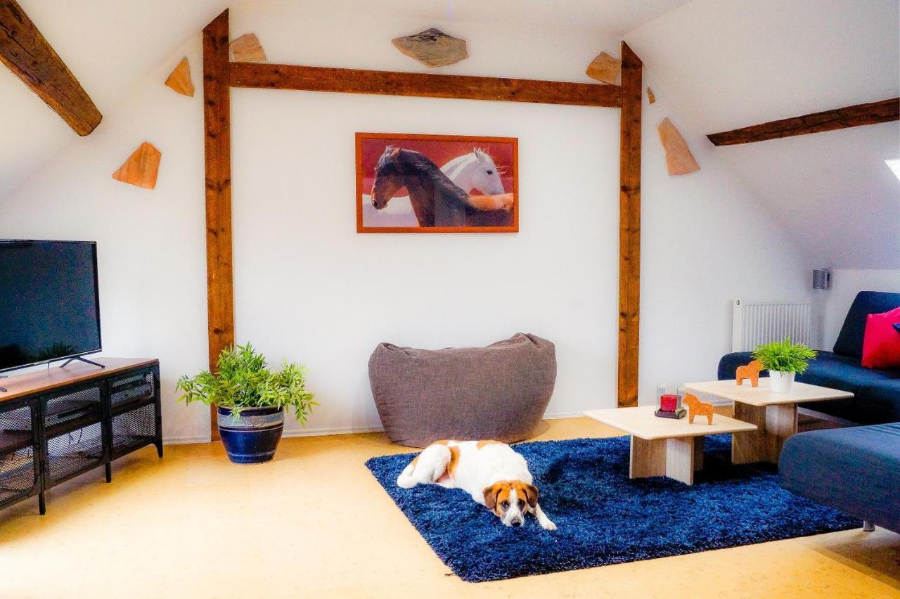 Besondere Ferienwohnung Spirit Auf Idyllischem Reiterhof Nahe Burg Eltz Munstermaifeld Luaran gambar