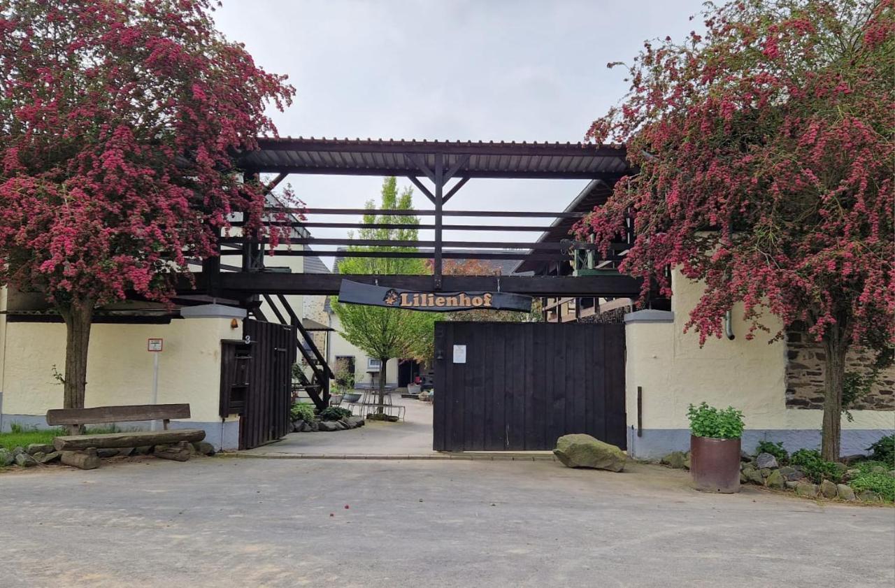Besondere Ferienwohnung Spirit Auf Idyllischem Reiterhof Nahe Burg Eltz Munstermaifeld Luaran gambar